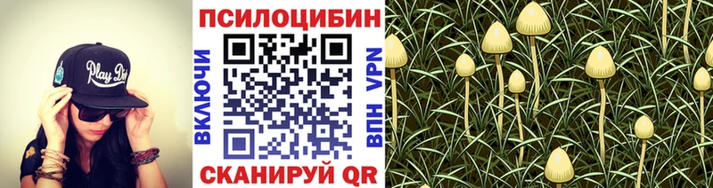 Галлюциногенные грибы Psilocybine cubensis  купить закладку  Байкальск 